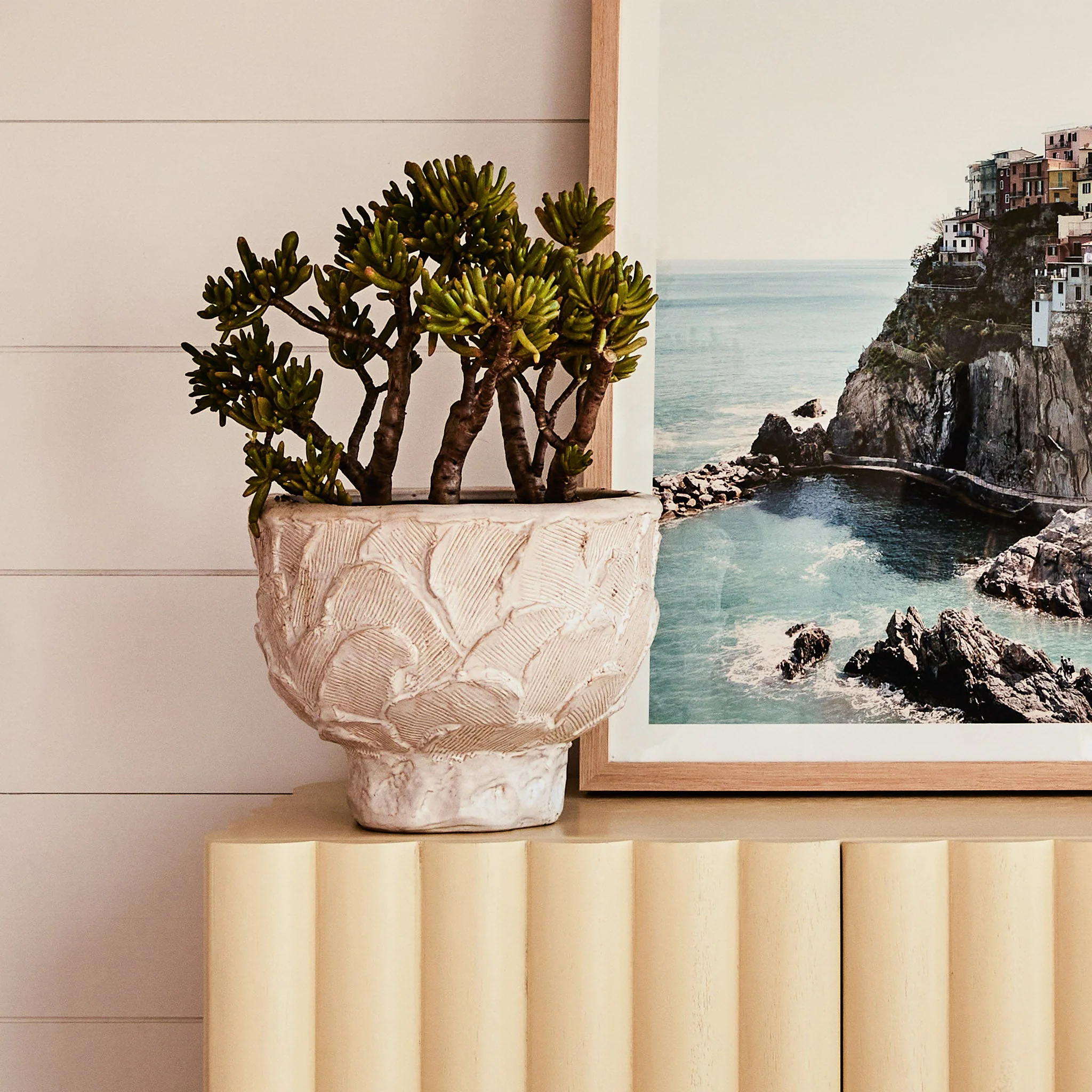 Daphne Pot - Image 4