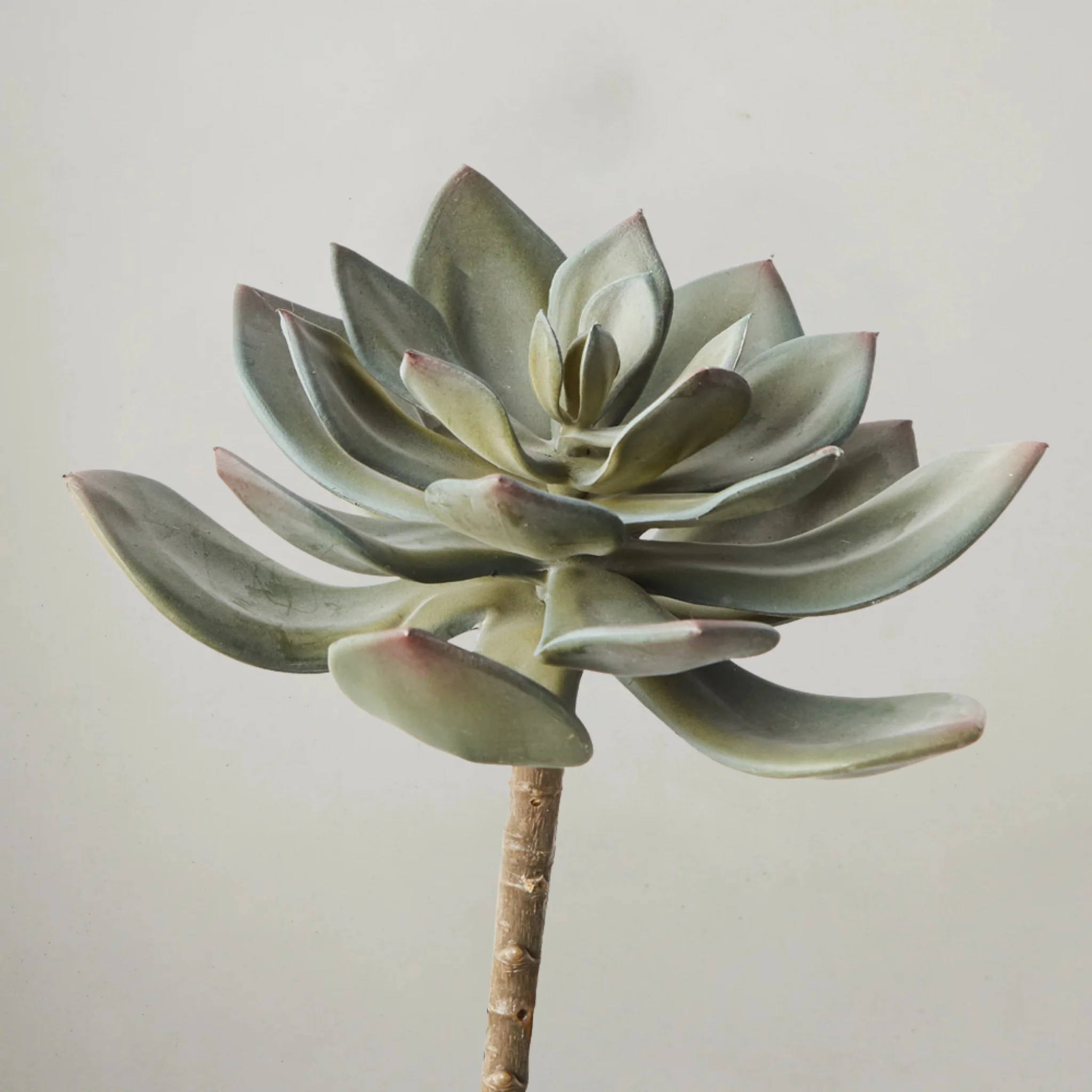 Sale Items Below $1,000